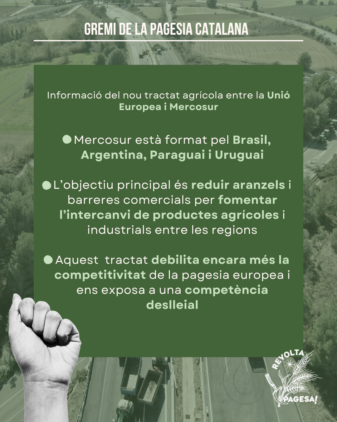 Informació sobre el tracat Mercosur