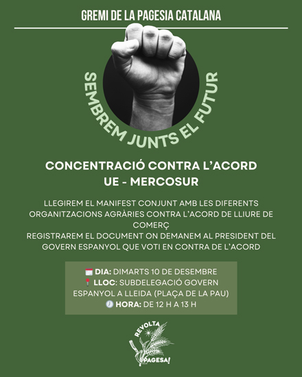 Cartell anunciant la concentració a Lleida el dimarts 10 de desembre